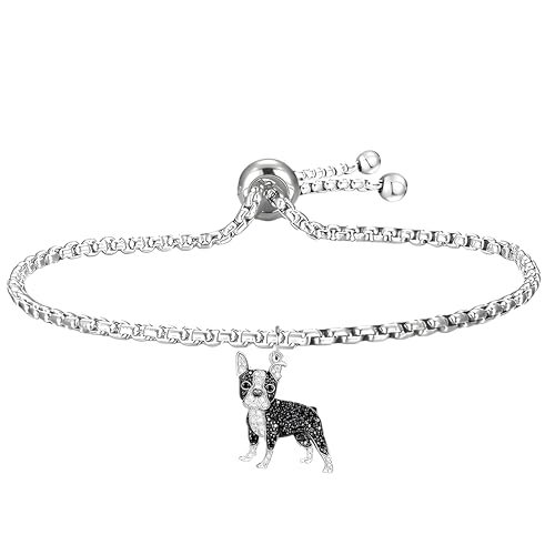 Boston Terrier