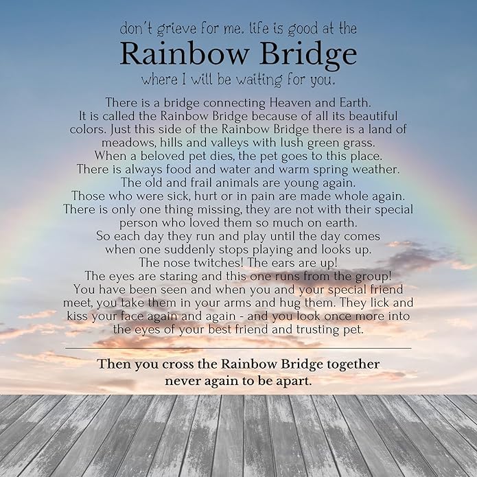 1pc Exquisite Rainbow Bridge Pet Memorial Pendant Necklace - Beautifully Crafted for Both Women & Men to Cherish Loving Memories - Memorial Jewelry with Adjustable Chain - Cat & Dog Memorial Gifts