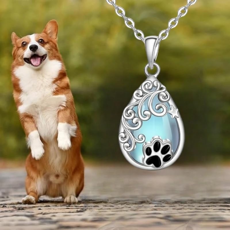 Pet Memorial Necklace, Silver Teardrop Pendant with Paw Print and Moon Stone, Cat or Dog Lovers' Gift