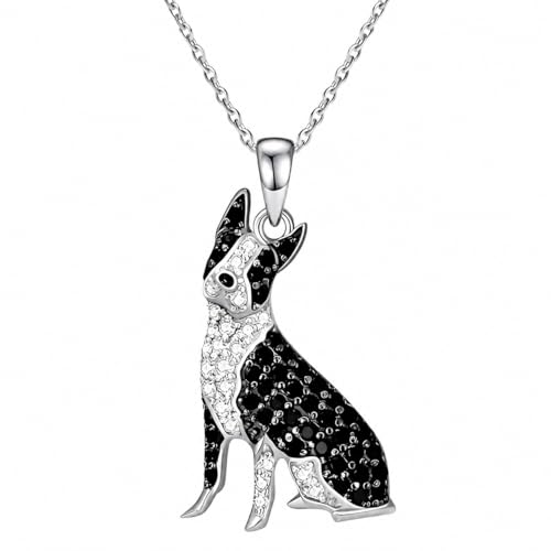 Boston Terrier