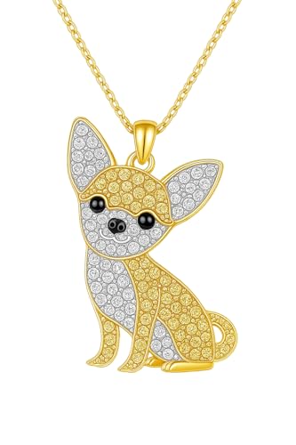 Gold Chihuahua