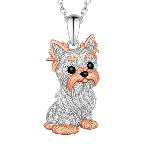 Yorkshire Terrier #3