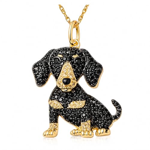 Golden Dachshund