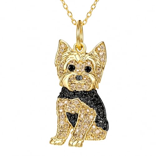 Royal Yorkie