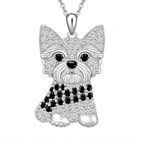 Yorkshire Terrier #2