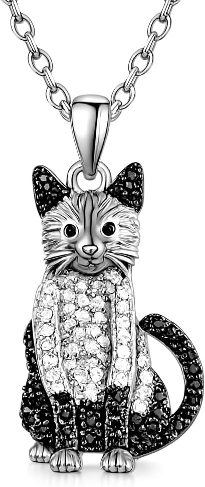 Black and White Cat