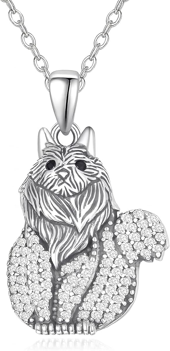British Longhair