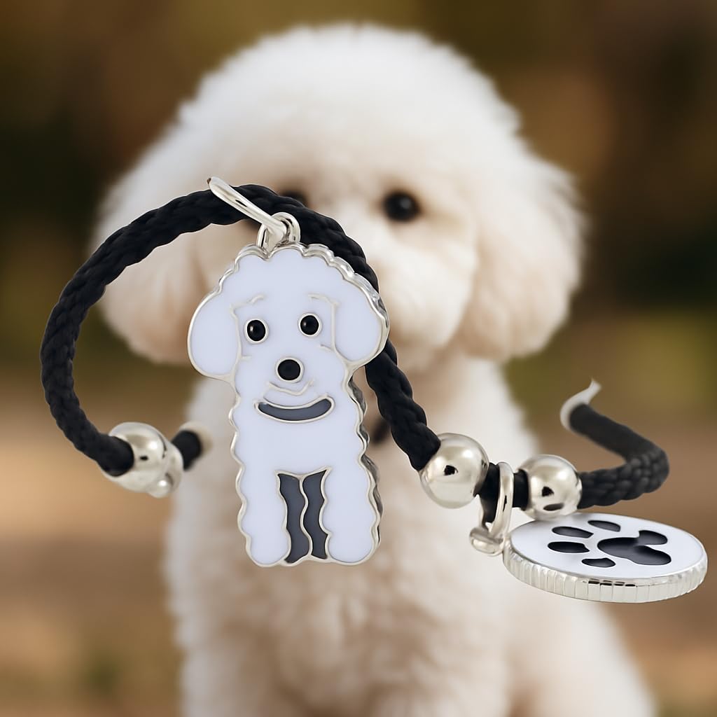 Pet Charm Bracelet with Dog Charms, Black Braided Band, I Love Dogs Design - Dog Lovers' Bracelet - Different Breeds of Dogs, Pet Lover Gift for Birthday and Holiday, Durable and Long-Lasting, Hypoallergenic and Nickel-Free, Everyday Wear (Poodle Teddy)